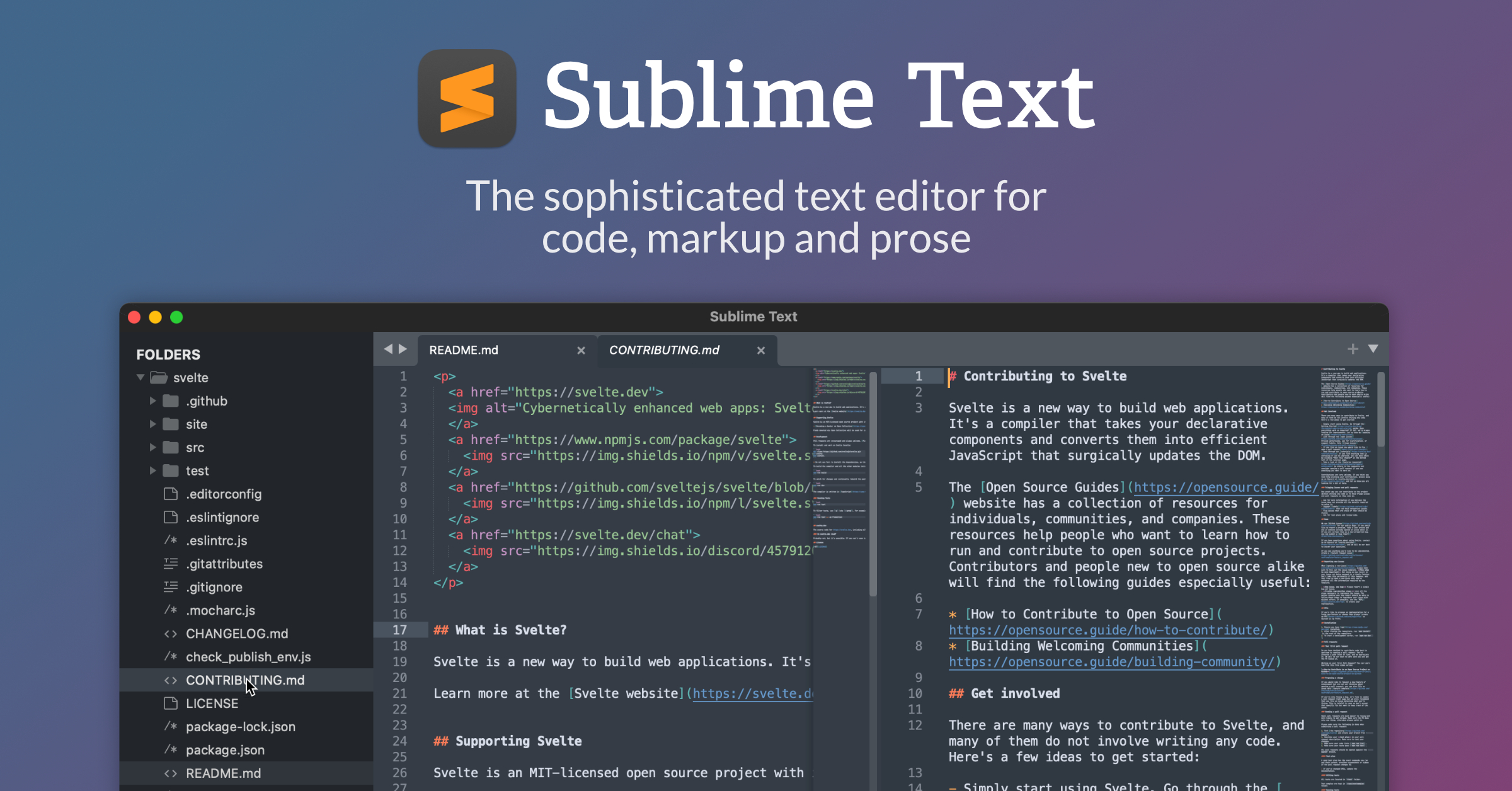 Sublime Text editor interface preview